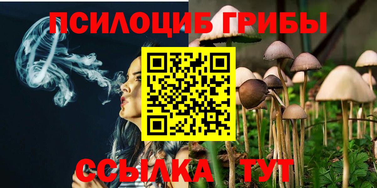 Псилоцибиновые грибы мухоморы  Галлюциногенные грибы Psilocybe  Реж  Вход с VPN 